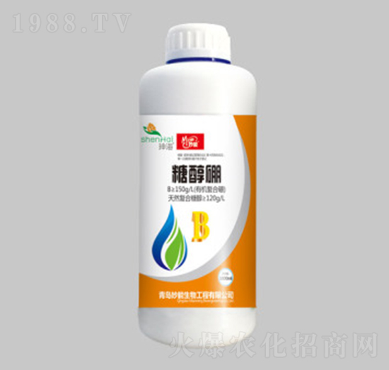 �Ǵ���-��������