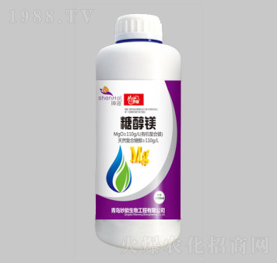 �Ǵ��V-��������