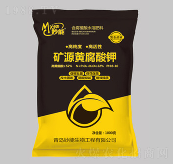 �VԴ�S�����-��������