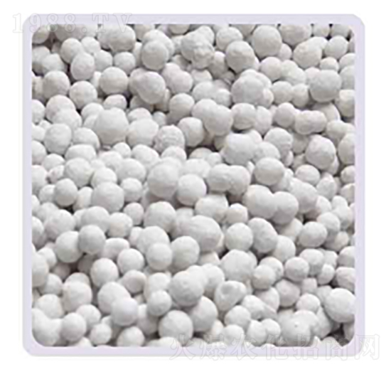 ���׏�(f��)�Ϸ�20-20-���P����