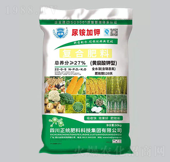 �S������͏�(f��)�Ϸ���22-0-5��50���-�P������