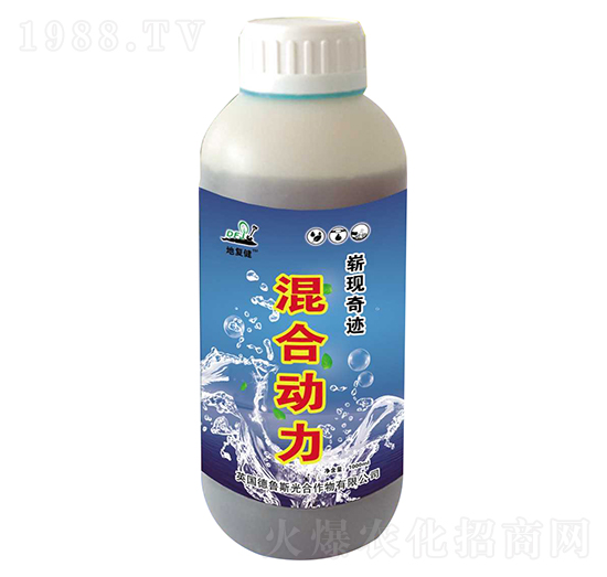 ��τ�(d��ng)��-�؏�(f��)��