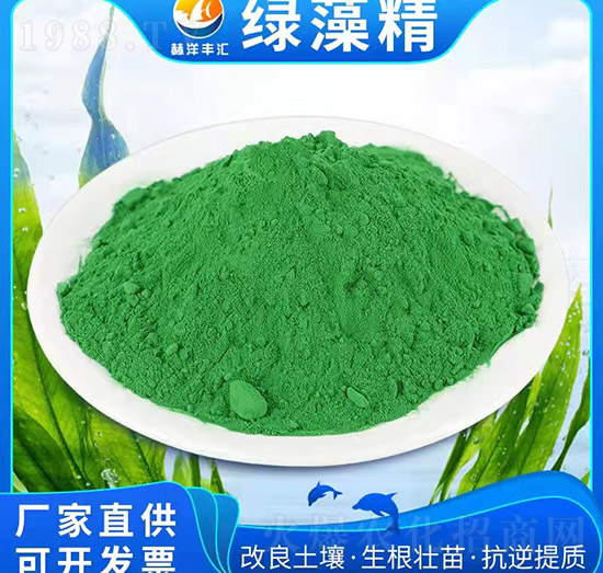 �G�徫-�����Q(m��o)