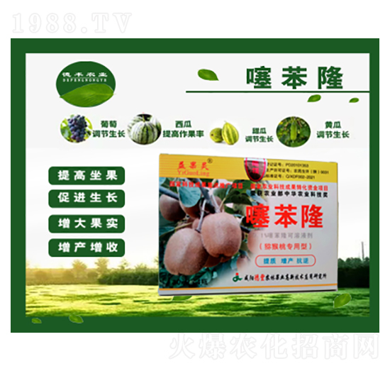 �J���Ҍ�(zhu��n)���籽¡-���S