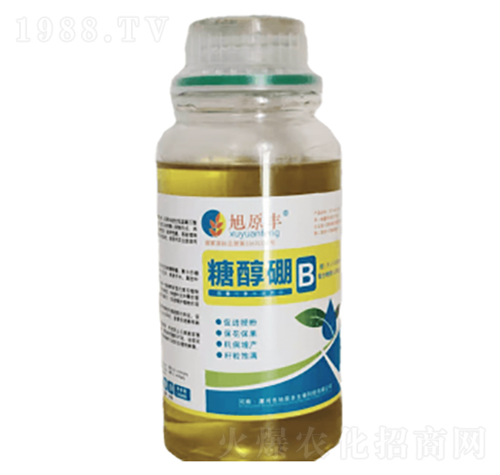 �Ǵ���-��ԭ�S