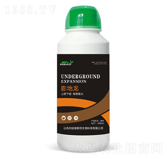 �����-���S˹�طʘI(y��)