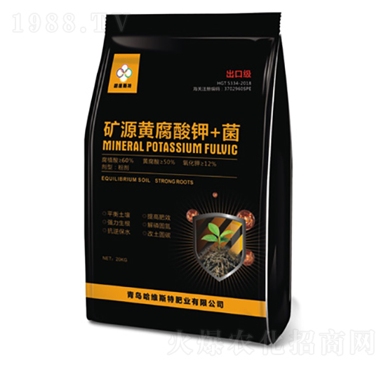 �VԴ�S�����+��-���S˹�طʘI(y��)