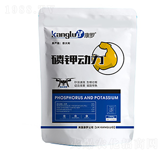 ��⛄���-���_