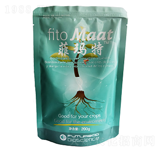 �Ƭ���-������