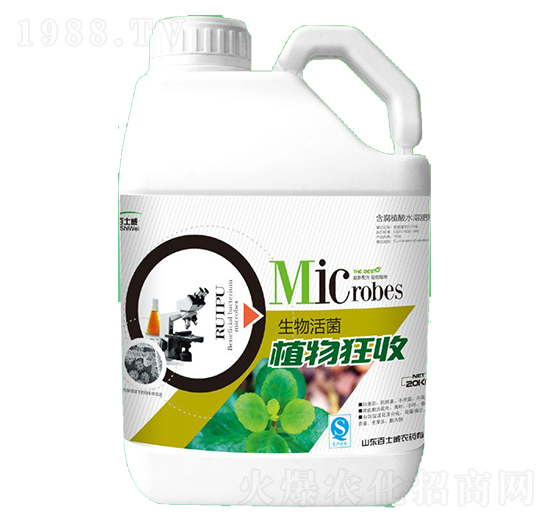 ֲ�����-��ʿ��