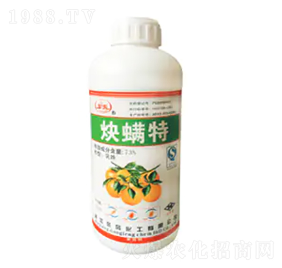 73%Ȳ����-�|�L����