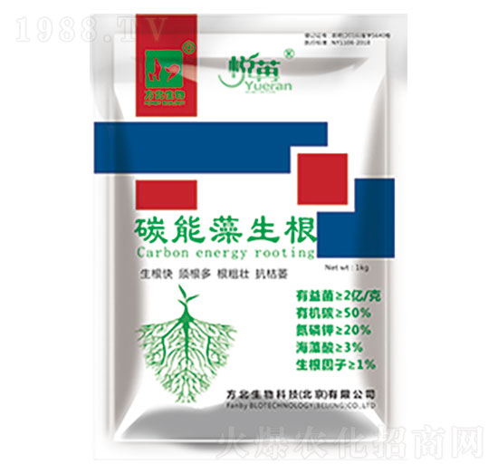 ̼��������-��������