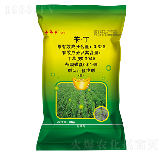 �S����������ˎ��-������-�����S����