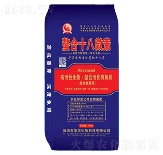 ����ʮ��΢��-�A�I����