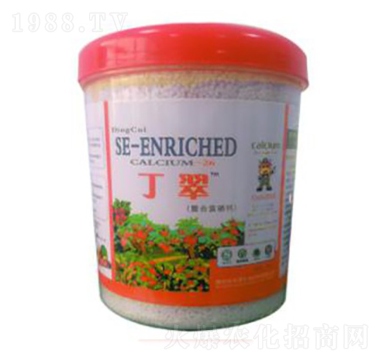 �������ϸ����}-�A�I����