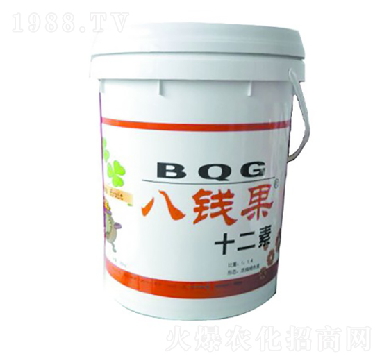 ���X��ʮ����-�A�I����