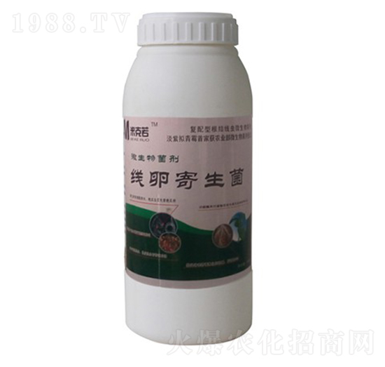 ���Ѽ�����-�A�I����