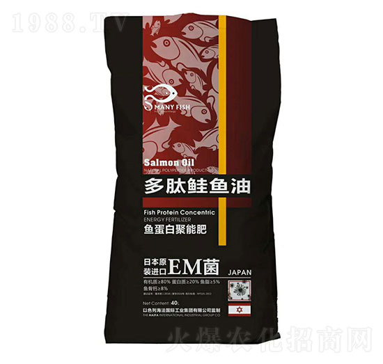 �����q�~��-ʥ�ɶ�