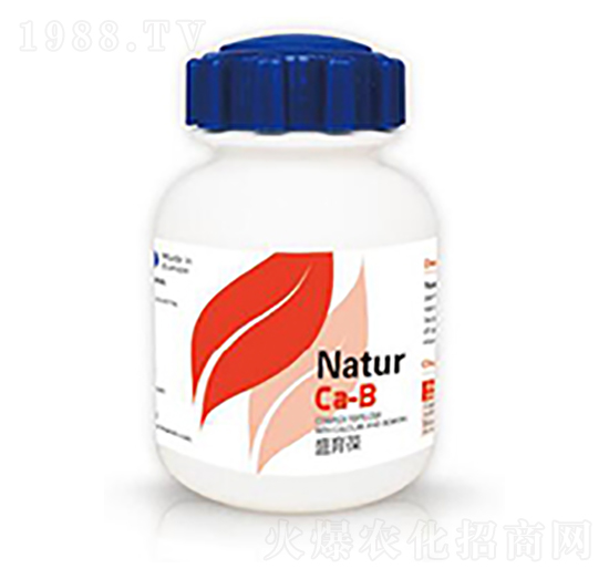 ʢ����-�{��