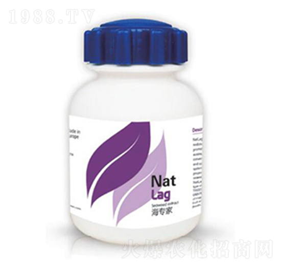 ������-�{��