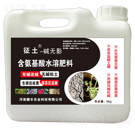 ����-�A�oӰ-�v�S�r(n��ng)�I(y��)