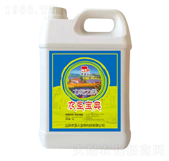 5L��������-�rʥ����-�rʥ��