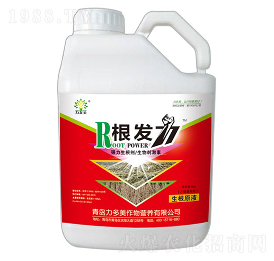 ����������-���l(f��)��-������-�r(n��ng)ʥ��