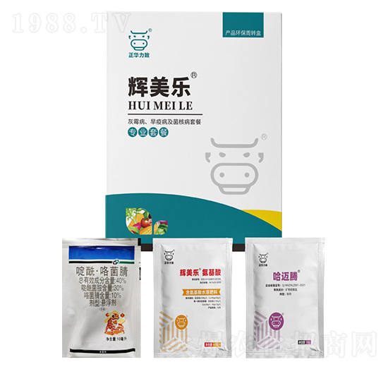 ��ù�������߲������˲��ײ�-�x����-���A����