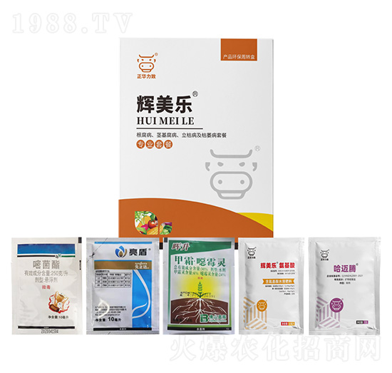 ���������o�����������ݲ�����ή���ײ�-�x����-���A����