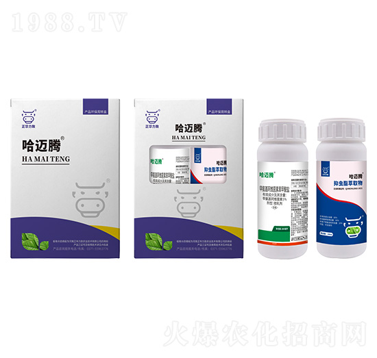 �E�R�����M���ײ�-���~�v-���A����