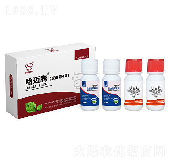 �׷�ʭ�����M���ײ�-���~�v-���A����