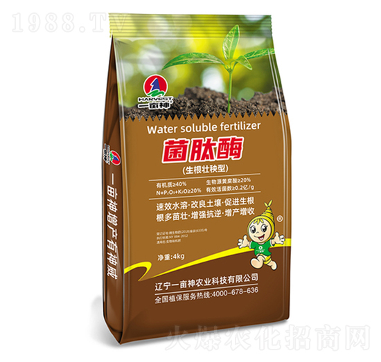 ����������-����ø-һ����