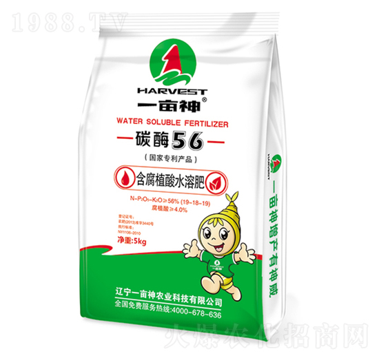 ����ֲ��ˮ�ܷ���-̼ø56-һ����