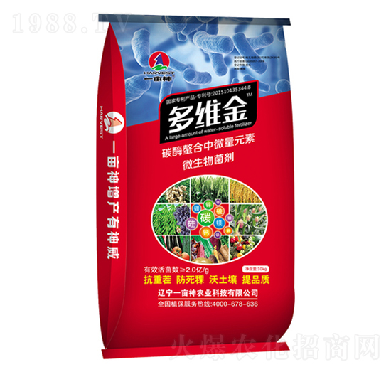 ̼ø������΢��Ԫ��΢�������-��S��-һ����