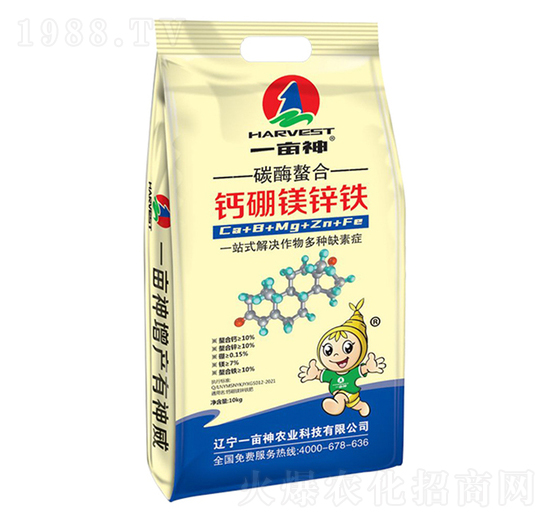 �����}���V�\�F-һ����