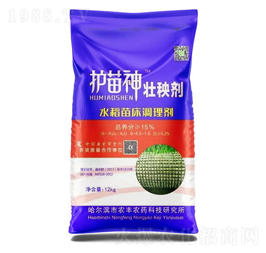 �o(h��)������턩-�Pʩ������