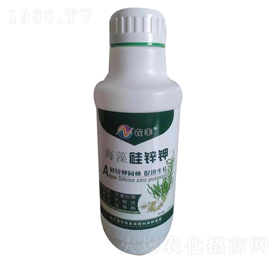 ������\�-�Pʩ������