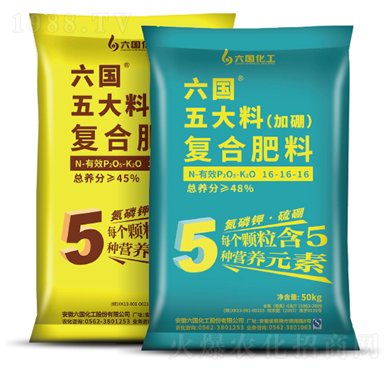 ����ϼ����ͺϷ�-��������