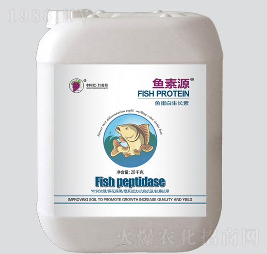 �~��Դ�~�������L��-�t����