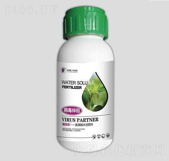 ���B�B������H-�t����