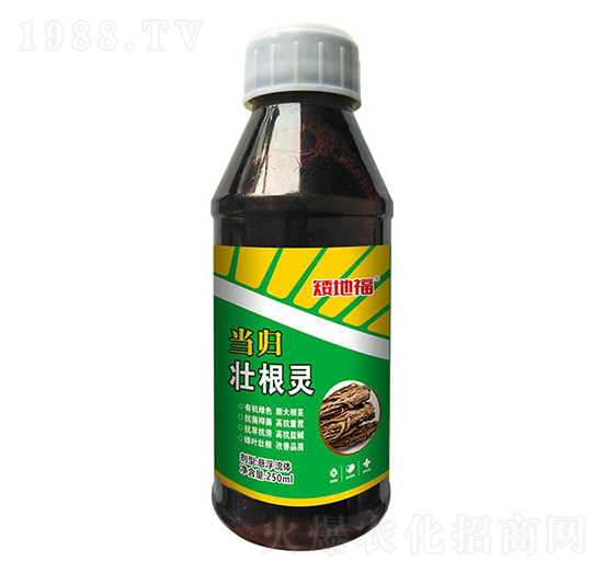 ��(d��ng)�w�Ѹ��`-���_(d��)����