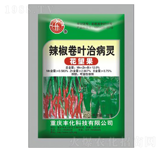 �������~�β��`-������-�S���Ƽ�