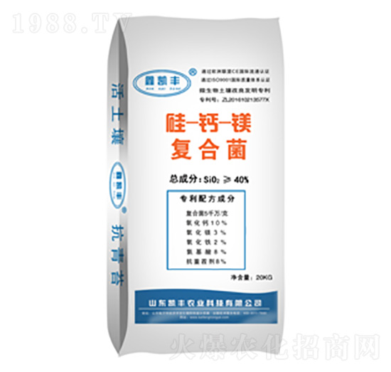 ���}�V�ͺϾ�-�P�S�r�I(y��)