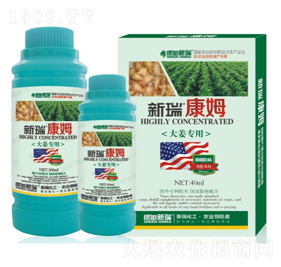 �������Ͻ������~���-����