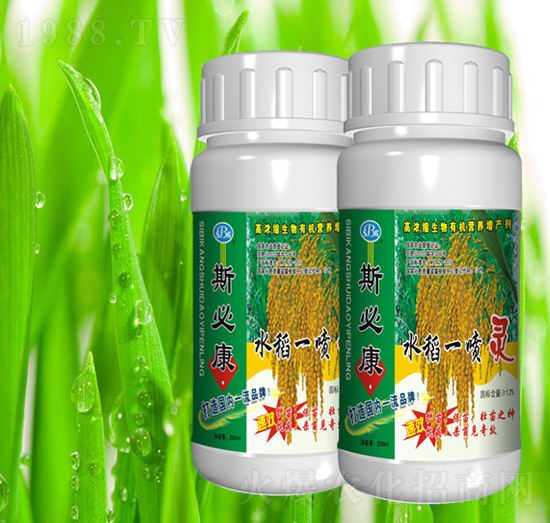 ˮ��һ���`-˹�ؿ�