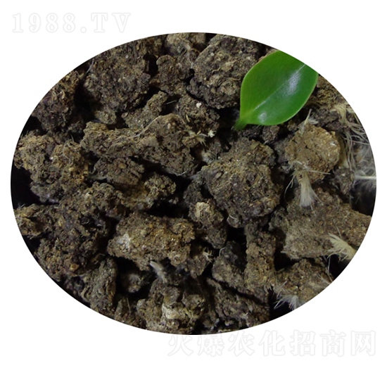 �����u�S�K-�T������