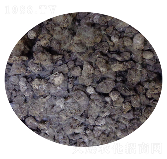 С�u�S-�T������