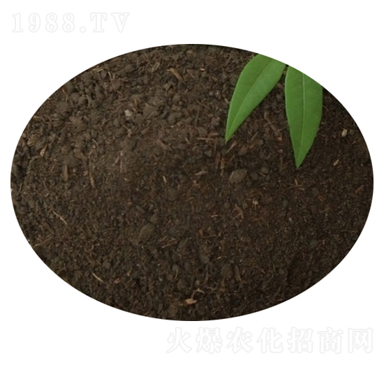 ţ�S��-�T������