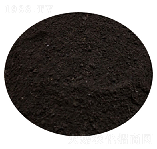 ���S-�T������