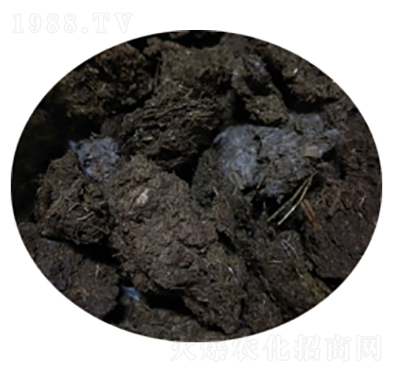 ��ţ�S��-�T������